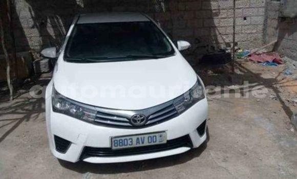 Buy Used Toyota Corolla Other Car in Akjoujt in Inchiri Buy Used Toyota Corolla Other Car in Akjoujt in Inchiri