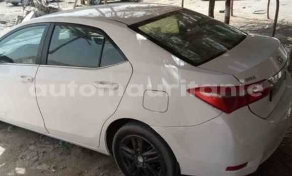 Buy Used Toyota Corolla Other Car in Akjoujt in Inchiri Buy Used Toyota Corolla Other Car in Akjoujt in Inchiri