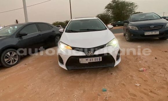Buy Used Toyota Corolla White Car in Nouakchott in West Nouakchott