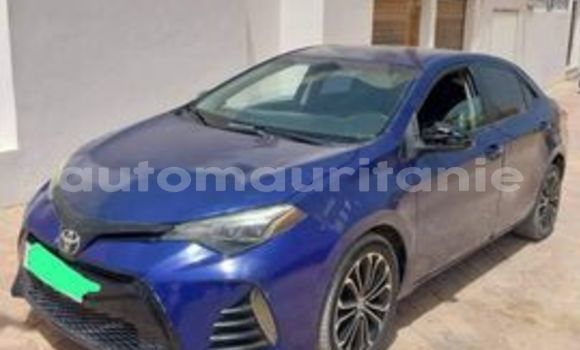 Acheter Occasion Voiture Toyota Corolla Bleu à Nouakchott, Nouakchott Ouest Acheter Occasion Voiture Toyota Corolla Bleu à Nouakchott, Nouakchott Ouest