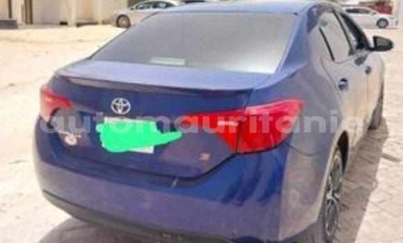 Acheter Occasion Voiture Toyota Corolla Bleu à Nouakchott, Nouakchott Ouest Acheter Occasion Voiture Toyota Corolla Bleu à Nouakchott, Nouakchott Ouest