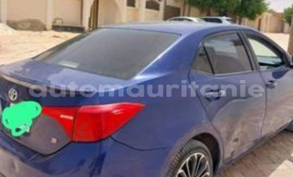 Acheter Occasion Voiture Toyota Corolla Bleu à Nouakchott, Nouakchott Ouest Acheter Occasion Voiture Toyota Corolla Bleu à Nouakchott, Nouakchott Ouest