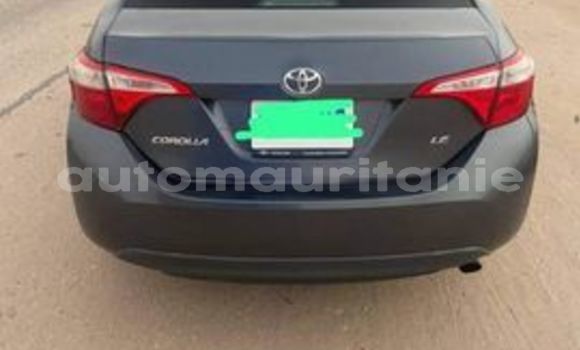 Acheter Occasion Voiture Toyota Corolla Gris à Nouakchott, Nouakchott Ouest Acheter Occasion Voiture Toyota Corolla Gris à Nouakchott, Nouakchott Ouest