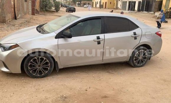 Buy Used Toyota Corolla Silver Car in Nouakchott in West Nouakchott