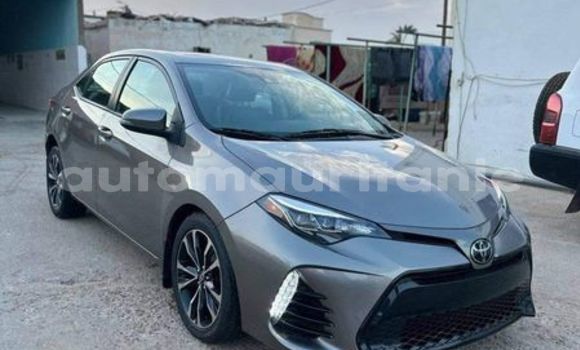 Buy Used Toyota Corolla Silver Car in Nouakchott in West Nouakchott