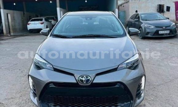 Acheter Occasion Voiture Toyota Corolla Gris à Nouakchott, Nouakchott Ouest Acheter Occasion Voiture Toyota Corolla Gris à Nouakchott, Nouakchott Ouest