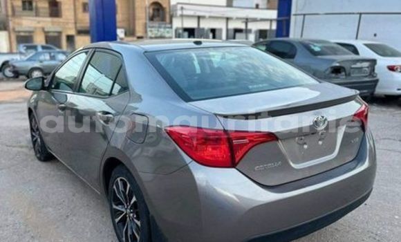 Acheter Occasion Voiture Toyota Corolla Gris à Nouakchott, Nouakchott Ouest Acheter Occasion Voiture Toyota Corolla Gris à Nouakchott, Nouakchott Ouest