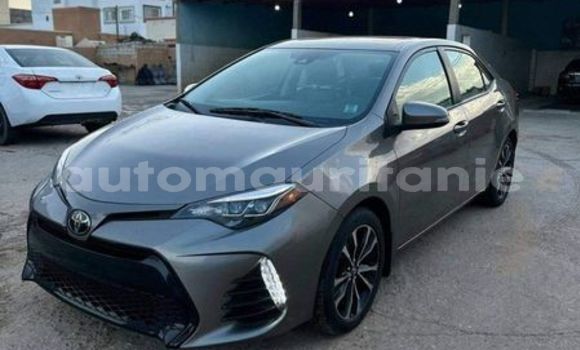 Acheter Occasion Voiture Toyota Corolla Gris à Nouakchott, Nouakchott Ouest Acheter Occasion Voiture Toyota Corolla Gris à Nouakchott, Nouakchott Ouest