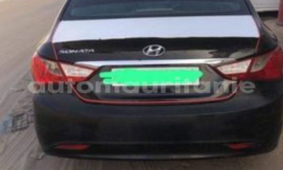 Buy Used Hyundai Sonata Black Car in Nouakchott in West Nouakchott