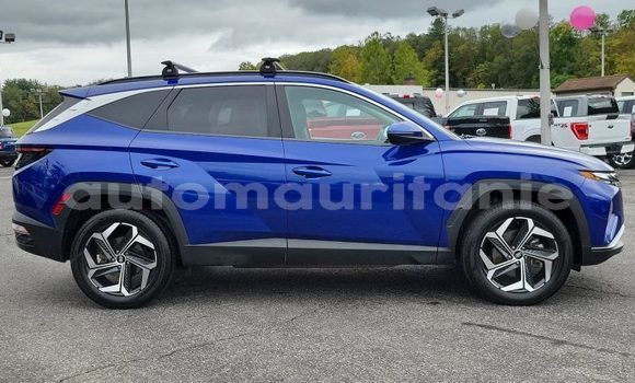 Buy Used Hyundai Tucson Blue Car in Nouakchott in West Nouakchott Buy Used Hyundai Tucson Blue Car in Nouakchott in West Nouakchott