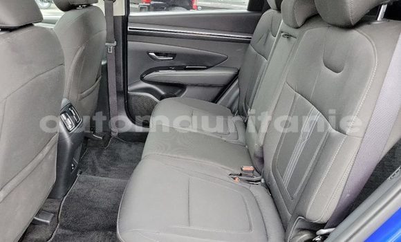 Buy Used Hyundai Tucson Blue Car in Nouakchott in West Nouakchott Buy Used Hyundai Tucson Blue Car in Nouakchott in West Nouakchott