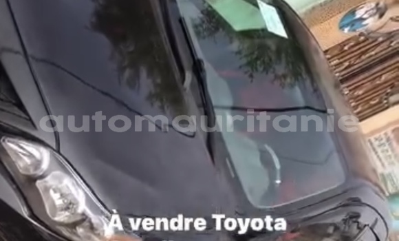 Buy Used Toyota Corolla White Car in Nouakchott in West Nouakchott