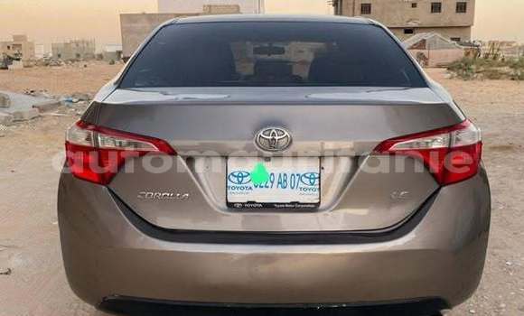 Acheter Occasion Voiture Toyota Corolla Autre à Alaq, Brakna Acheter Occasion Voiture Toyota Corolla Autre à Alaq, Brakna