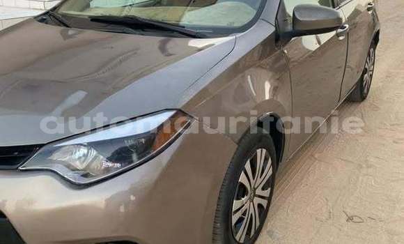 Acheter Occasion Voiture Toyota Corolla Autre à Alaq, Brakna Acheter Occasion Voiture Toyota Corolla Autre à Alaq, Brakna