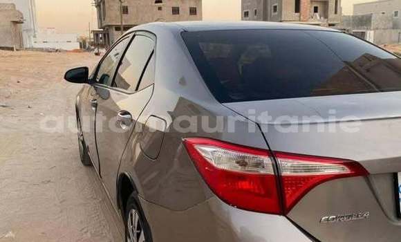 Acheter Occasion Voiture Toyota Corolla Autre à Alaq, Brakna Acheter Occasion Voiture Toyota Corolla Autre à Alaq, Brakna