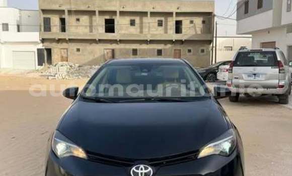 Acheter Occasion Voiture Toyota Corolla Autre à Aioun, Hodh El Gharbi Acheter Occasion Voiture Toyota Corolla Autre à Aioun, Hodh El Gharbi