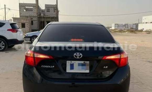 Acheter Occasion Voiture Toyota Corolla Autre à Aioun, Hodh El Gharbi Acheter Occasion Voiture Toyota Corolla Autre à Aioun, Hodh El Gharbi