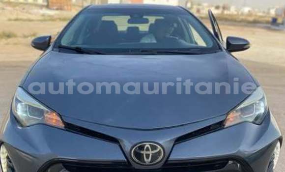 Acheter Occasion Voiture Toyota Corolla Autre à Aioun, Hodh El Gharbi Acheter Occasion Voiture Toyota Corolla Autre à Aioun, Hodh El Gharbi