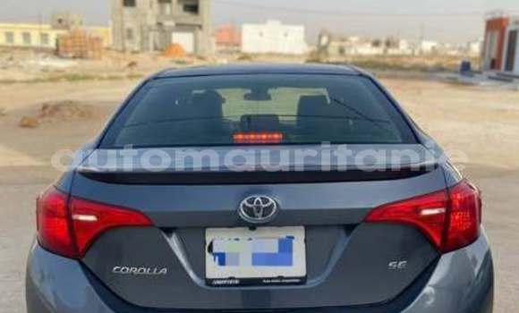 Acheter Occasion Voiture Toyota Corolla Autre à Aioun, Hodh El Gharbi Acheter Occasion Voiture Toyota Corolla Autre à Aioun, Hodh El Gharbi