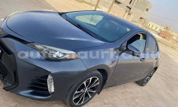 Acheter Occasion Voiture Toyota Corolla Autre à Aioun, Hodh El Gharbi Acheter Occasion Voiture Toyota Corolla Autre à Aioun, Hodh El Gharbi