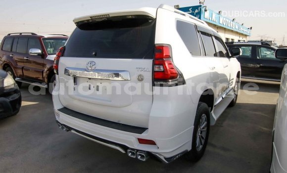 Acheter Import Voiture Toyota Prado Blanc à Import - Dubai, Adrar Acheter Import Voiture Toyota Prado Blanc à Import - Dubai, Adrar