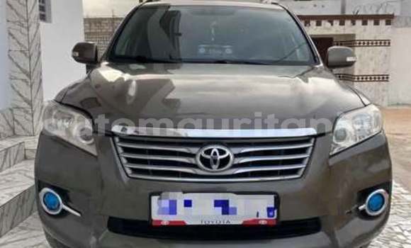 Buy Used Toyota RAV4 Other Car in Alaq in Brakna Buy Used Toyota RAV4 Other Car in Alaq in Brakna