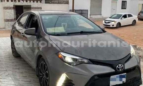 Buy Used Toyota Corolla Other Car in Alaq in Brakna Buy Used Toyota Corolla Other Car in Alaq in Brakna