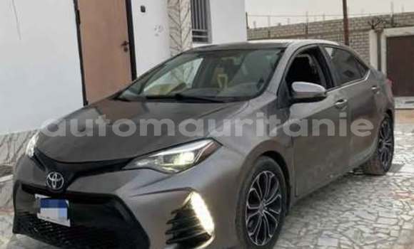 Buy Used Toyota Corolla Other Car in Alaq in Brakna Buy Used Toyota Corolla Other Car in Alaq in Brakna