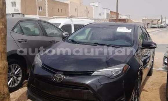 Buy Used Toyota Corolla Other Car in Alaq in Brakna