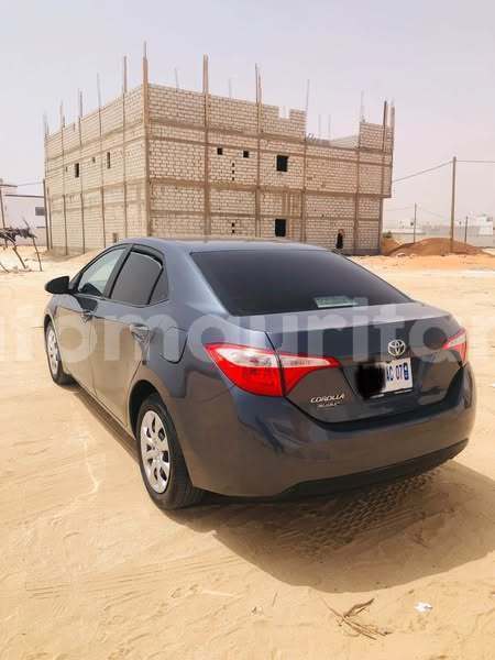 Big with watermark toyota corolla wilaya du trarza arafat 4889
