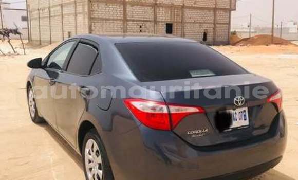 Acheter Occasion Voiture Toyota Corolla Autre à Arafat, Wilaya du Trarza Acheter Occasion Voiture Toyota Corolla Autre à Arafat, Wilaya du Trarza