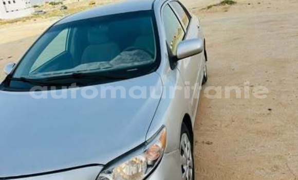 Acheter Occasion Voiture Toyota Corolla Autre à Alaq, Brakna Acheter Occasion Voiture Toyota Corolla Autre à Alaq, Brakna