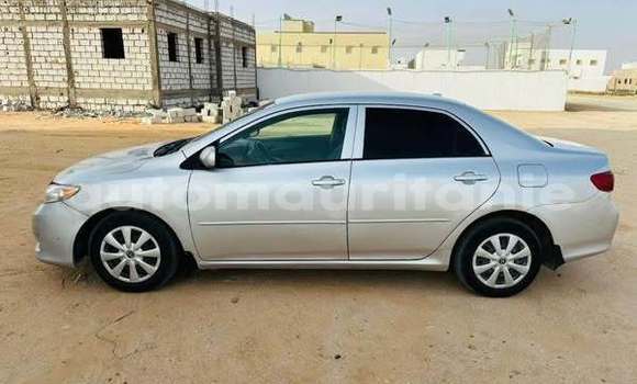 Acheter Occasion Voiture Toyota Corolla Autre à Alaq, Brakna Acheter Occasion Voiture Toyota Corolla Autre à Alaq, Brakna