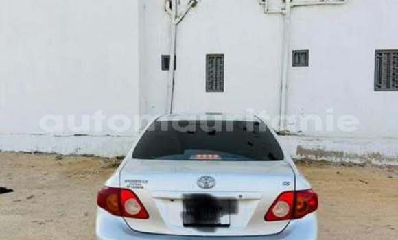 Acheter Occasion Voiture Toyota Corolla Autre à Alaq, Brakna Acheter Occasion Voiture Toyota Corolla Autre à Alaq, Brakna