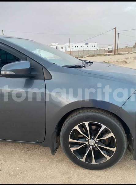 Big with watermark toyota corolla hodh el gharbi aioun 4895