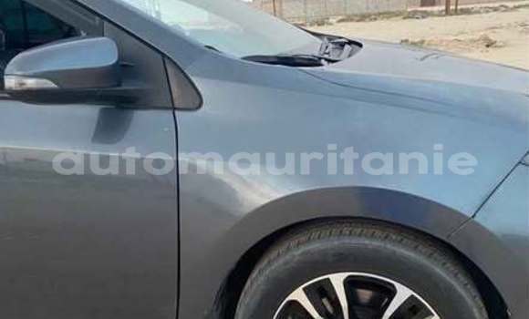 Acheter Occasion Voiture Toyota Corolla Autre à Aioun, Hodh El Gharbi Acheter Occasion Voiture Toyota Corolla Autre à Aioun, Hodh El Gharbi