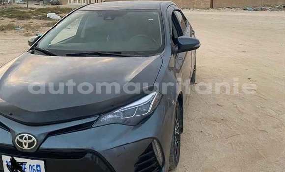 Acheter Occasion Voiture Toyota Corolla Autre à Aioun, Hodh El Gharbi Acheter Occasion Voiture Toyota Corolla Autre à Aioun, Hodh El Gharbi