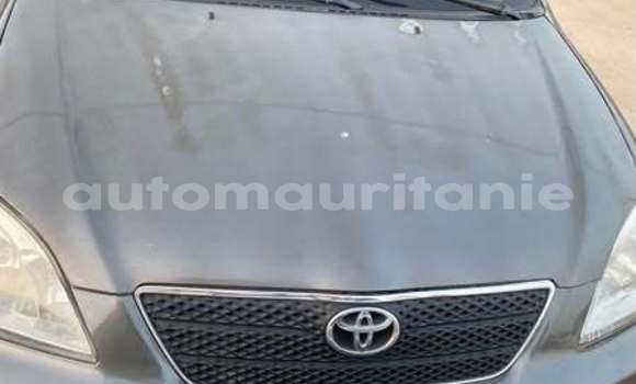 Buy Used Toyota Corolla Other Car in Aleg in Brakna Buy Used Toyota Corolla Other Car in Aleg in Brakna