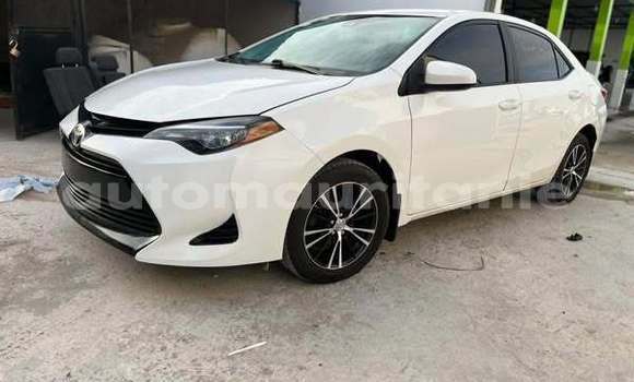 Buy Used Toyota Corolla Other Car in Aleg in Brakna Buy Used Toyota Corolla Other Car in Aleg in Brakna