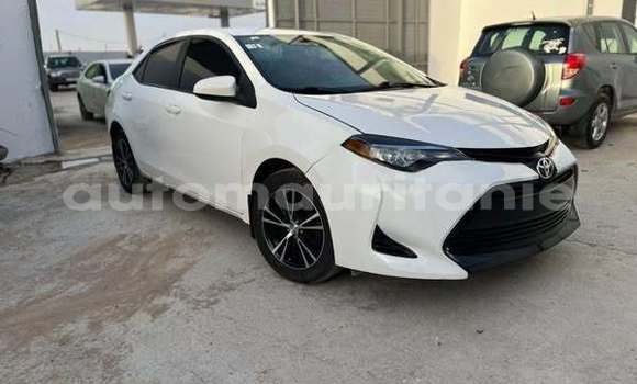 Buy Used Toyota Corolla Other Car in Aleg in Brakna Buy Used Toyota Corolla Other Car in Aleg in Brakna