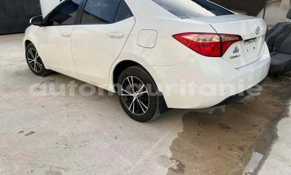 Buy Used Toyota Corolla Other Car in Aleg in Brakna Buy Used Toyota Corolla Other Car in Aleg in Brakna