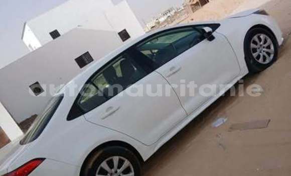 Buy Used Toyota Corolla Other Car in Akjoujt in Inchiri Buy Used Toyota Corolla Other Car in Akjoujt in Inchiri