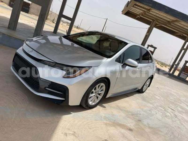 Big with watermark toyota corolla inchiri akjoujt 4909