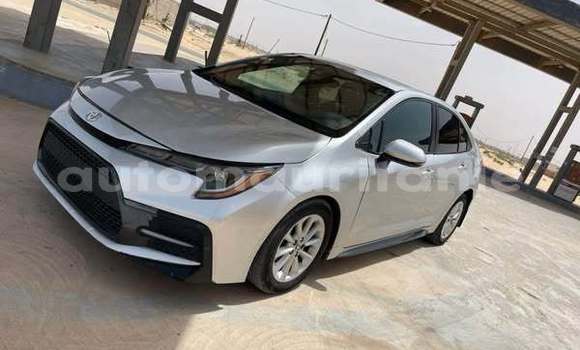 Buy Used Toyota Corolla Other Car in Akjoujt in Inchiri Buy Used Toyota Corolla Other Car in Akjoujt in Inchiri