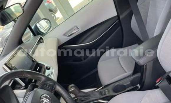 Buy Used Toyota Corolla Other Car in Akjoujt in Inchiri Buy Used Toyota Corolla Other Car in Akjoujt in Inchiri