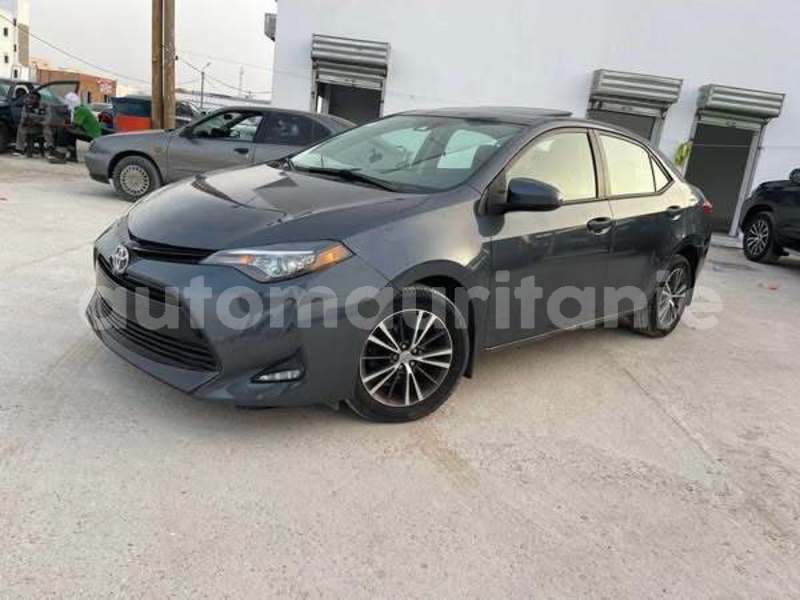 Big with watermark toyota corolla inchiri akjoujt 4911