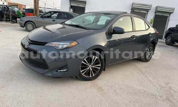 Buy Used Toyota Corolla Other Car in Akjoujt in Inchiri