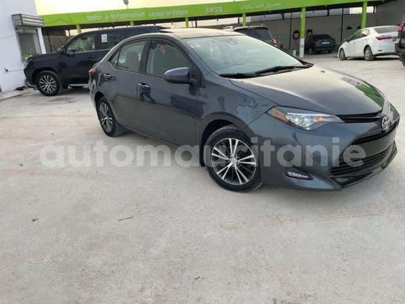 Big with watermark toyota corolla inchiri akjoujt 4911