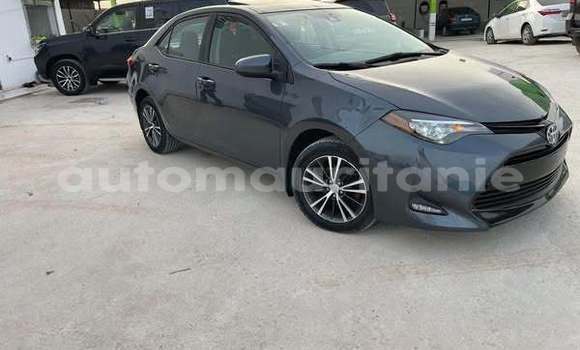 Buy Used Toyota Corolla Other Car in Akjoujt in Inchiri Buy Used Toyota Corolla Other Car in Akjoujt in Inchiri