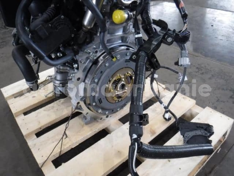 Big with watermark toyo44